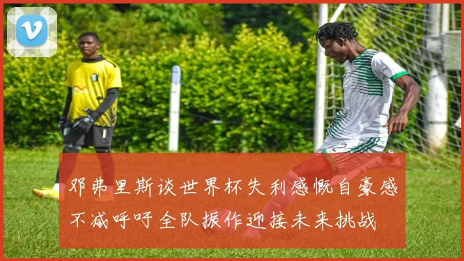 邓弗里斯谈世界杯失利感慨自豪感不减呼吁全队振作迎接未来挑战