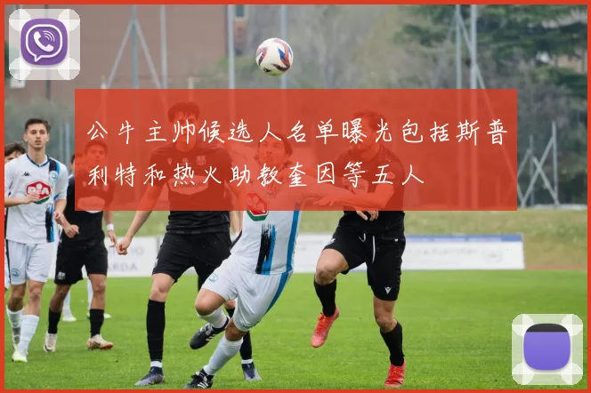 公牛主帅候选人名单曝光包括斯普利特和热火助教奎因等五人
